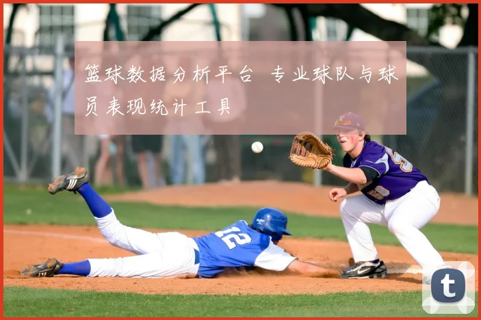 篮球数据分析平台 专业球队与球员表现统计工具